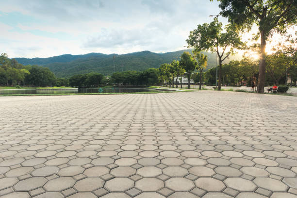 Best Concrete Paver Driveway  in Slater Marietta, SC